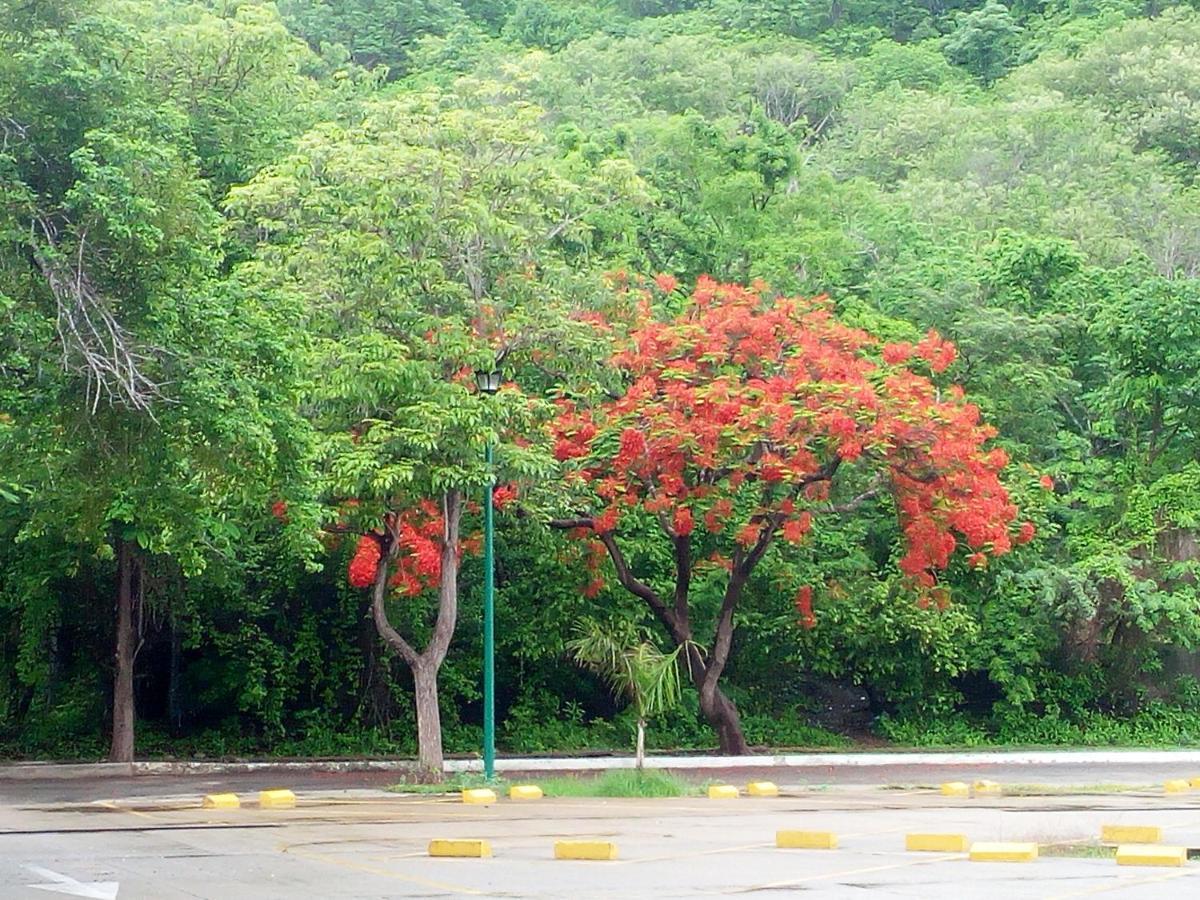 Camino Al Mar Apartment Santa Cruz Huatulco Exterior foto